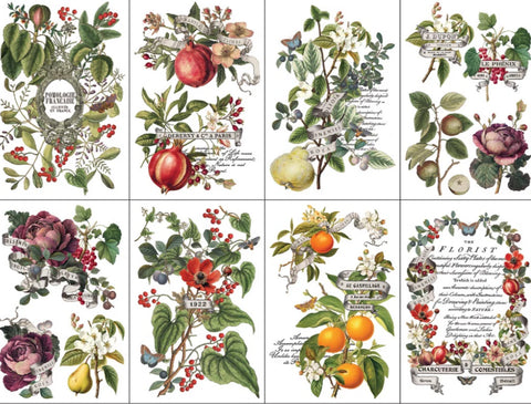 Iron Orchid Designs Transfer - Clementine