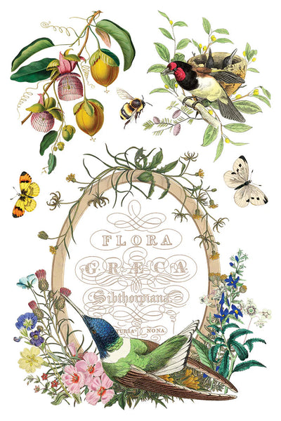 Iron Orchid Designs Transfer - Fiora Greca