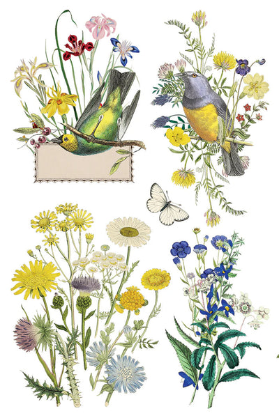Iron Orchid Designs Transfer - Fiora Greca