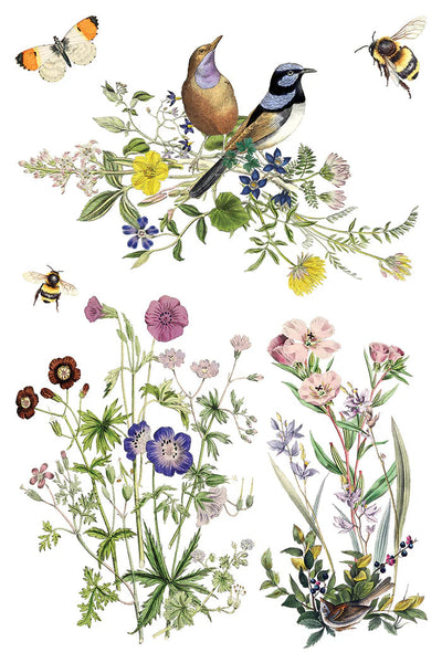 Iron Orchid Designs Transfer - Fiora Greca