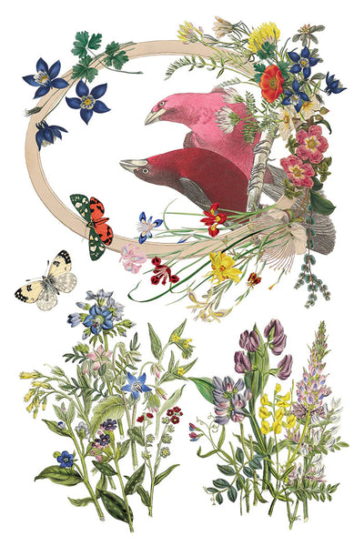 Iron Orchid Designs Transfer - Fiora Greca