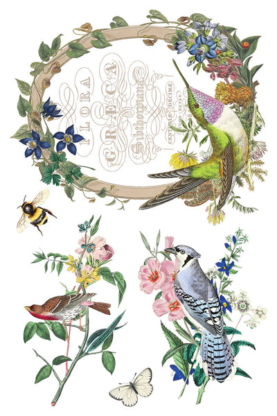 Iron Orchid Designs Transfer - Fiora Greca