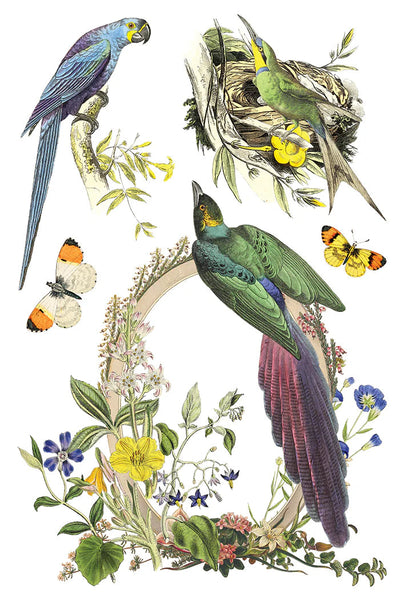 Iron Orchid Designs Transfer - Fiora Greca