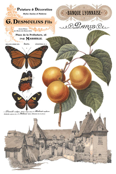 Iron Orchid Designs Transfer - Saint Quen