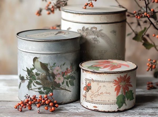 Iron Orchid Designs Transfer - Winter Botanist