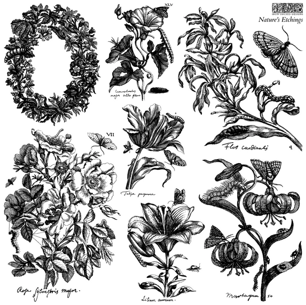 Iron Orchid Designs Stamp -Q2 Release Natures Etchings  12 x 12