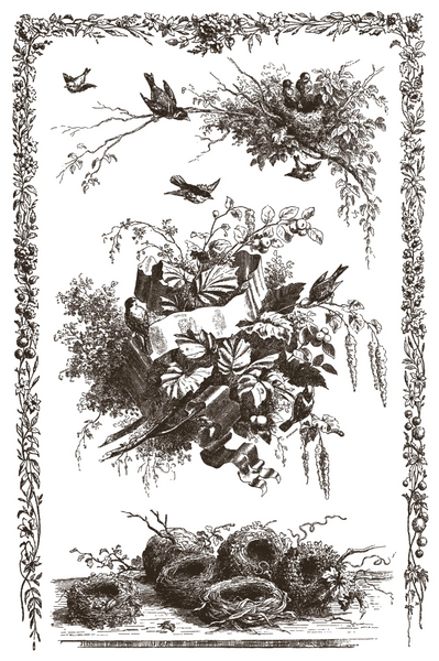 Iron Orchid Designs Paint Inlay -  Q2 release Little Lark.