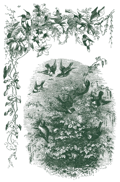 Iron Orchid Designs Paint Inlay -  Q2 release Little Lark.