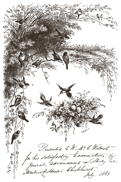 Iron Orchid Designs Paint Inlay -  Q2 release Little Lark.