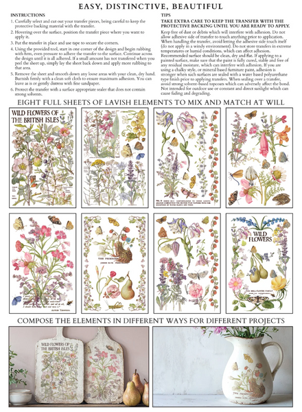 Iron Orchid Designs Transfer - Q2 Release Primrose Isle