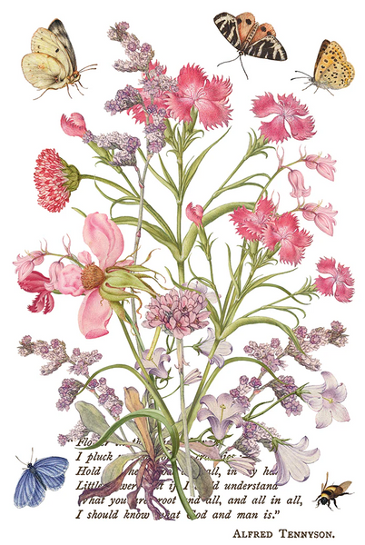 Iron Orchid Designs Transfer - Q2 Release Primrose Isle