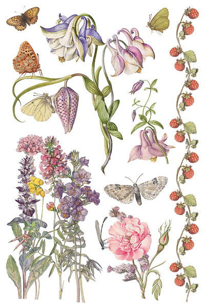 Iron Orchid Designs Transfer - Q2 Release Primrose Isle