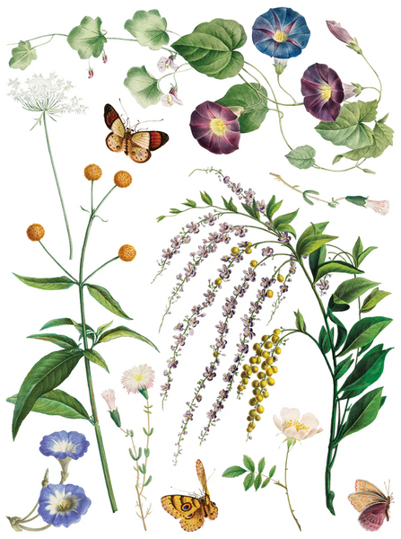 Iron Orchid Designs Transfer - Q2 Marche Des Fleurs