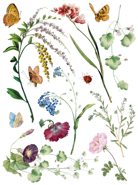 Iron Orchid Designs Transfer - Q2 Marche Des Fleurs