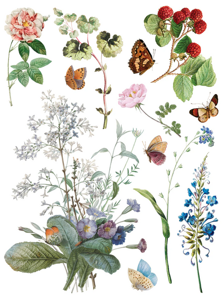 Iron Orchid Designs Transfer - Q2 Marche Des Fleurs