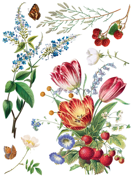Iron Orchid Designs Transfer - Q2 Marche Des Fleurs