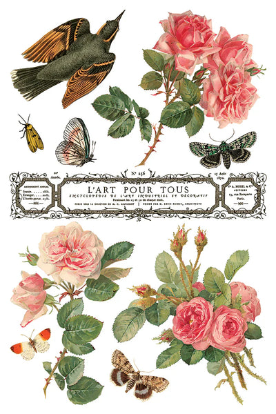 Iron Orchid Designs Transfer - By Any Other Name
