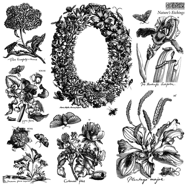 Iron Orchid Designs Stamp -Q2 Release Natures Etchings  12 x 12