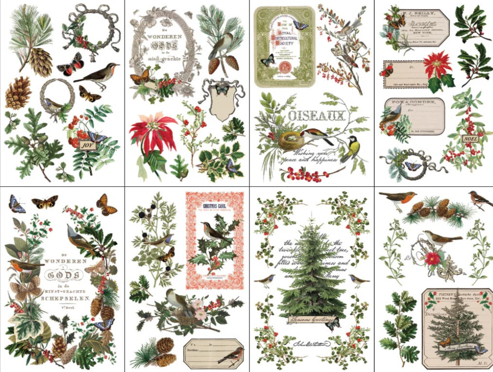 Iron Orchid Designs Transfer - Winter Botanist