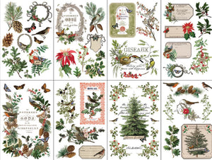 Iron Orchid Designs Transfer - Winter Botanist