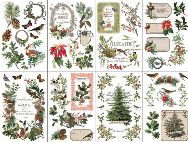 Iron Orchid Designs Transfer - Winter Botanist