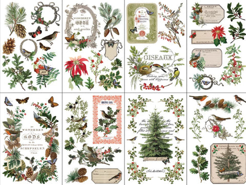 Iron Orchid Designs Transfer - Winter Botanist